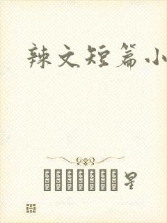 辣文短篇小说