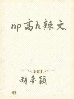 np高h辣文