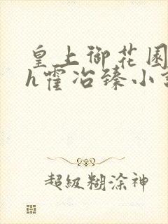 皇上御花园hlh霍冶臻小说