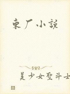 东厂小说封面