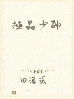 极品少帅