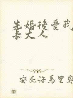 先婚后爱我的市长大人封面