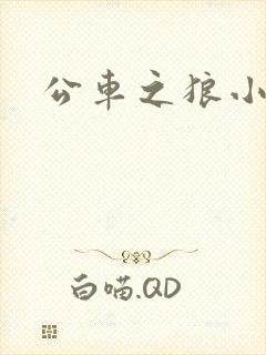 公车之狼小说