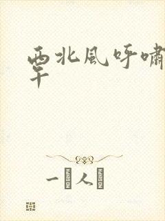 西北风呼啸的中午