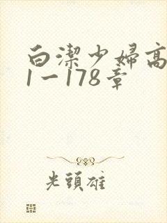 白洁少妇高义第1一178章