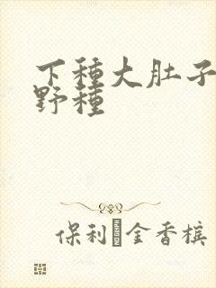 下种大肚子怀孕野种