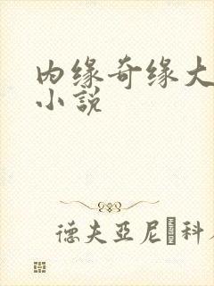 内缘奇缘大团圆小说