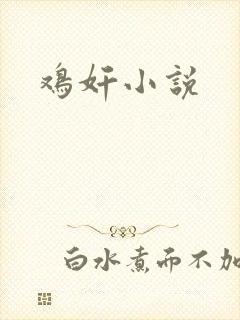 鸡奸小说