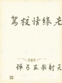 驾校情缘老赵封面