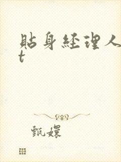 贴身经理人txt