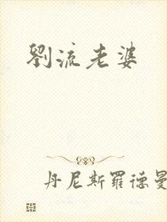 刘流老婆