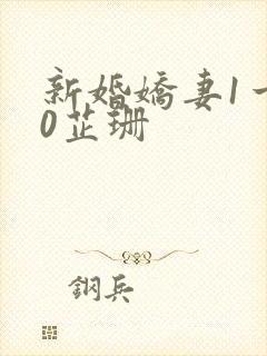 新婚娇妻1一40芷珊封面