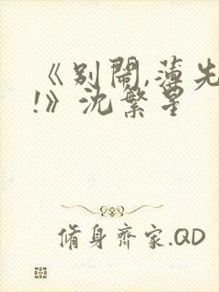 《别闹,薄先生!》沈繁星