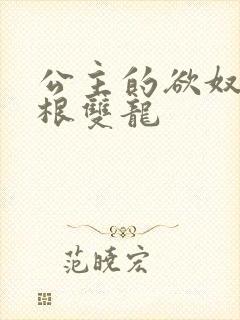 公主的欲奴h四根双龙