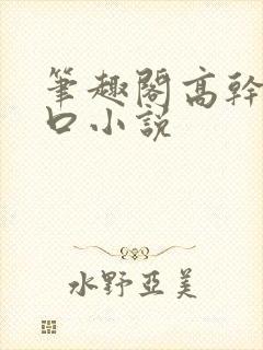 笔趣阁高干文入口小说
