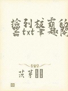 捡到校霸的遥控器txt笔趣阁封面