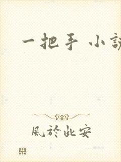 一把手 小说