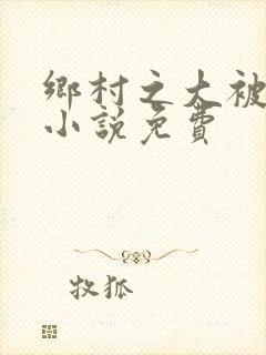 乡村之大被同眠小说免费