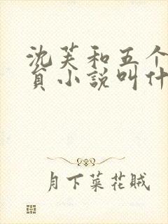 沈芙和五个消防员小说叫什么