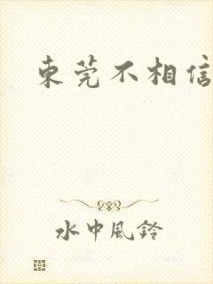 东莞不相信眼泪