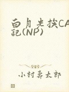 白月光挨CAO记(NP)