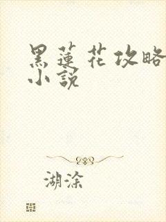 黑莲花攻略手册小说
