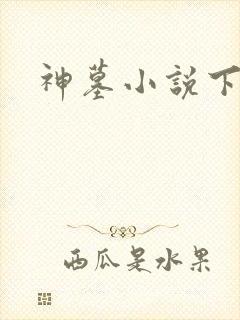 神墓小说下载