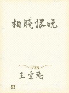 相贱恨晚封面