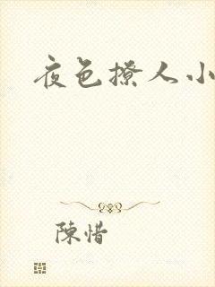 夜色撩人小说