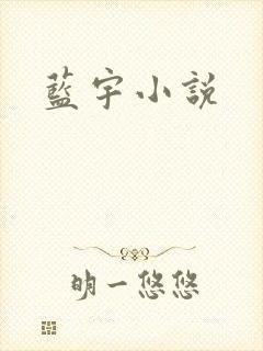 蓝宇小说