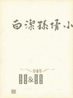 白洁孙倩小说封面