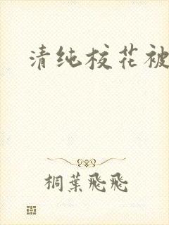 清纯校花被