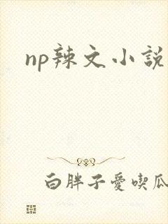 np辣文小说封面