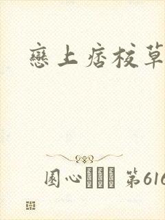 恋上痞校草