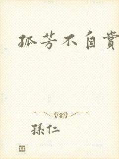 孤芳不自赏小说