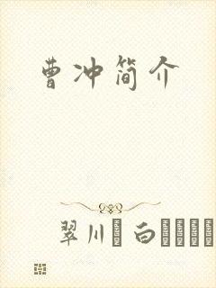 曹冲简介