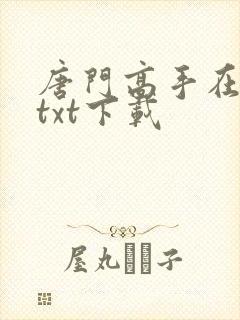 唐门高手在异世txt下载封面