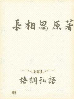 长相思原著封面