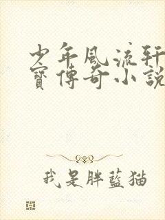少年风流轩辕大宝传奇小说封面