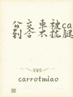 公交车被cao到合不拢腿视频