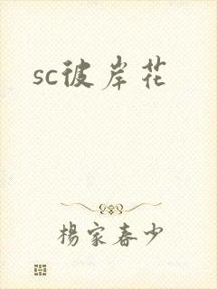 sc彼岸花