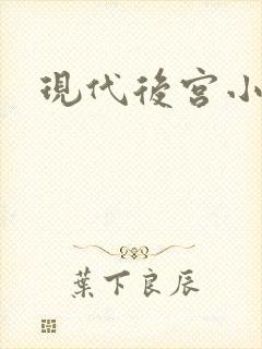 现代后宫小说封面