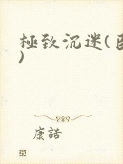 极致沉迷(臣年)封面