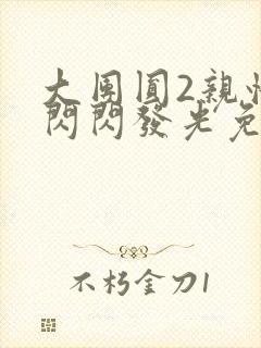 大团圆2亲情会闪闪发光免费