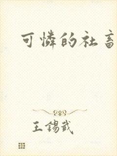 可怜的社畜小说