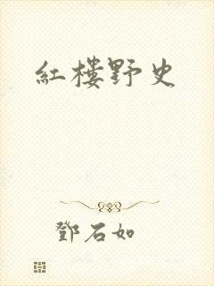 红楼野史