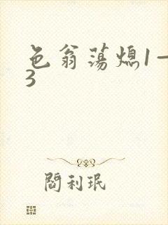 色翁荡熄1—13封面