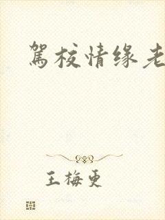 驾校情缘老赵