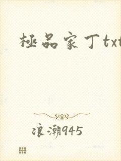 极品家丁txt