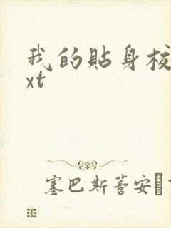 我的贴身校花txt封面